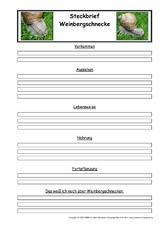 Weinbergschnecke-Steckbriefvorlage.pdf